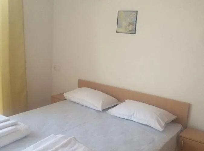 Guest Venera 3* 프리모르스코